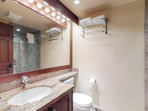 Greystone Lodge : photo 6 de la chambre studio