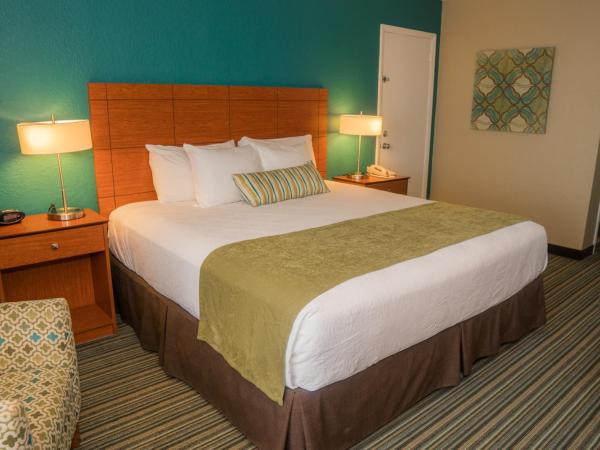 Best Western On The Bay Inn & Marina : photo 4 de la chambre chambre lit king-size pour personnes à mobilité réduite avec douche accessible en fauteuil roulant - non-fumeurs