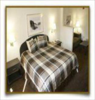 Sonesta Essential Orlando : photo 1 de la chambre room #5612431