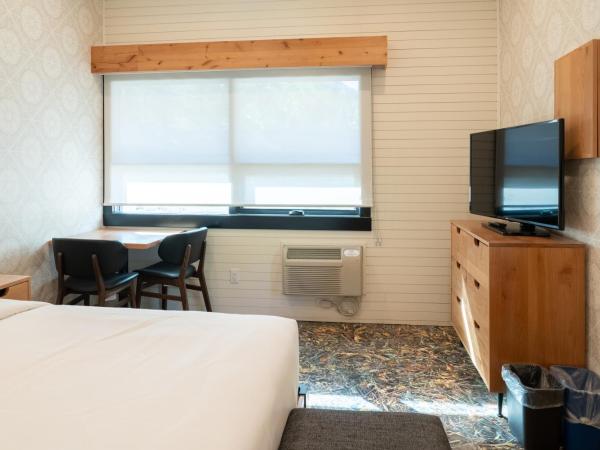 The Dorothy Motel : photo 4 de la chambre chambre lit king-size supérieure - hôtel