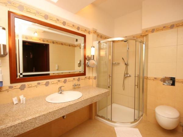 Hotel Gołębiewski Karpacz : photo 1 de la chambre petite chambre lits jumeaux familiale avec canapé-lit réservée aux enfants