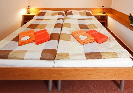 Penzion pivovarská restaurace Moravia : photo 5 de la chambre chambre double