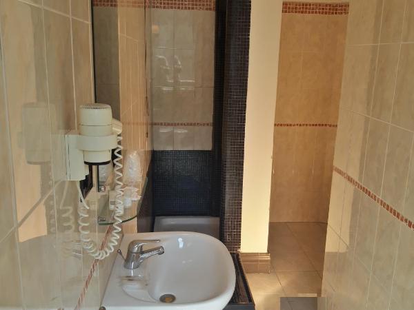 Hotel San Felice : photo 3 de la chambre chambre lits jumeaux standard