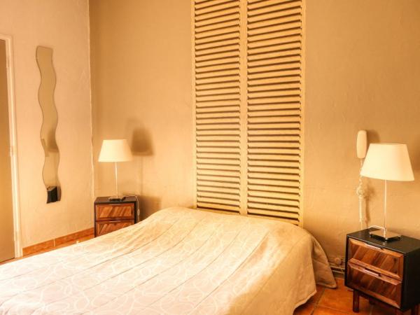 Au Saint Roch - Hôtel et Jardin : photo 1 de la chambre chambre double