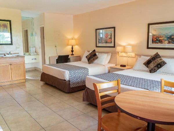 Ft. Lauderdale Beach Resort Hotel : photo 3 de la chambre chambre lit queen-size deluxe