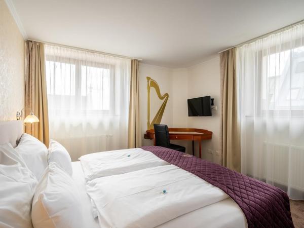 Hotel Am Schubertring : photo 1 de la chambre chambre classique