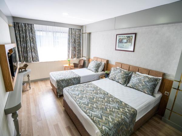 Lion City Hotel Kizilay : photo 5 de la chambre chambre double