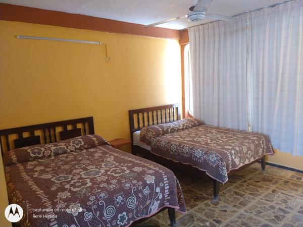 Hotel Olimar : photo 8 de la chambre chambre double standard avec 2 lits doubles