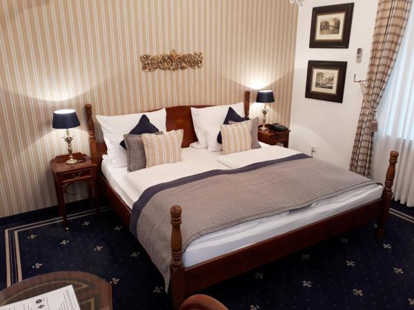 Hotel Windsor : photo 4 de la chambre chambre double - vue sur jardin