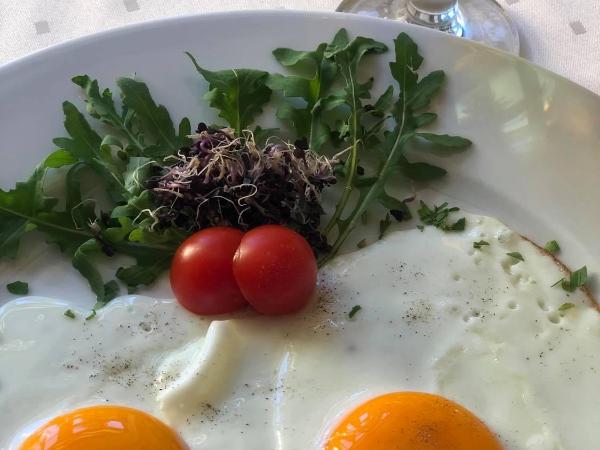 Aqua Villa Eger : photo 9 de la chambre chambre double ou lits jumeaux supérieure