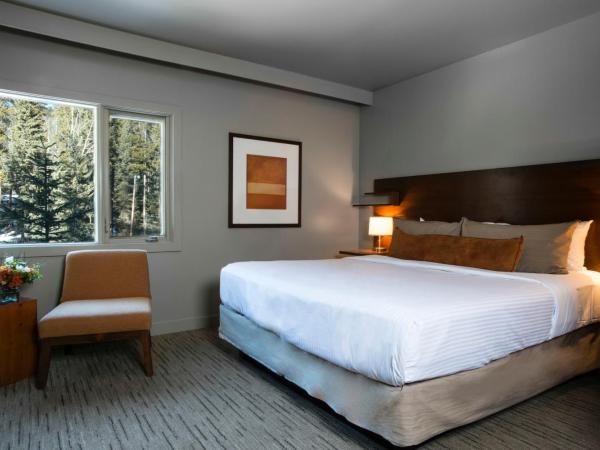 The Juniper Hotel & Bistro : photo 2 de la chambre chambre lit king-size standard