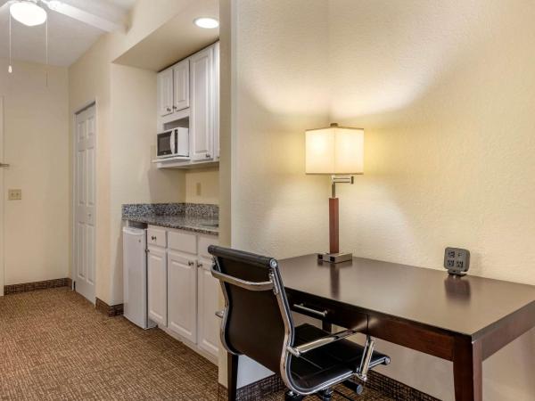 Comfort Suites Maingate East : photo 4 de la chambre suite 1 chambre lit king-size avec canapé-lit - non-fumeurs