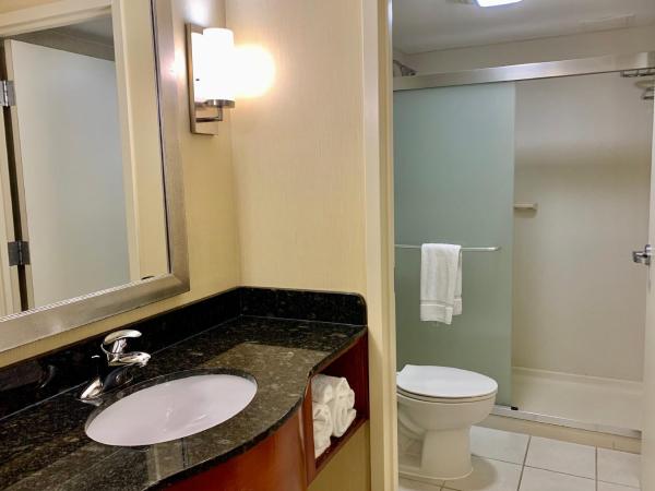 Holiday Inn & Suites Virginia Beach - North Beach, an IHG Hotel : photo 3 de la chambre chambre lit king-size supérieure - vue sur mer/non-fumeurs