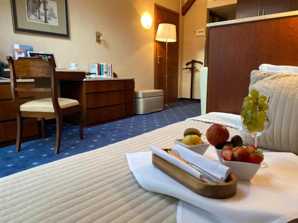 Booking Hotel Crown Piast & Spa : photo 6 de la chambre chambre simple affaires 