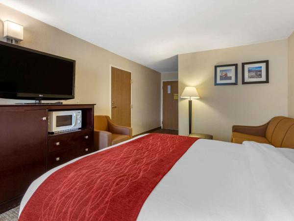 Comfort Inn & Suites North Tucson Marana : photo 5 de la chambre suite lit king-size avec canapé-lit - non-fumeurs