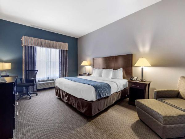 Comfort Inn & Suites Oklahoma City West - I-40 : photo 1 de la chambre chambre lit king-size - non-fumeurs