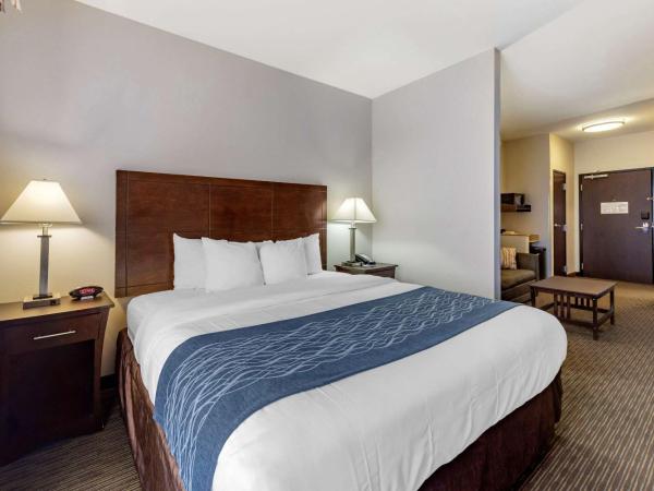Comfort Inn & Suites Oklahoma City West - I-40 : photo 1 de la chambre suite lit king-size – non-fumeurs