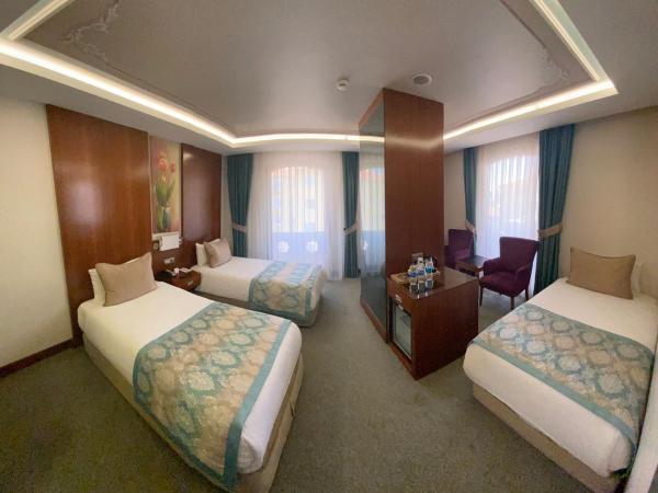 Hurry Inn Merter Istanbul : photo 1 de la chambre chambre triple standard