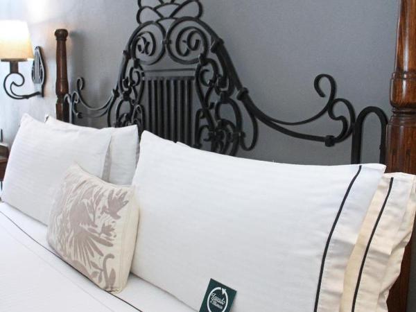 Zocalo Central & Rooftop Mexico City : photo 1 de la chambre room #18585943