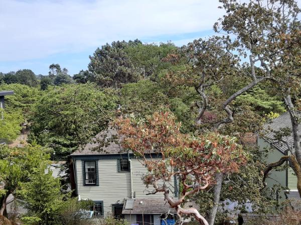 Sea Birds Cottage : photo 8 de la chambre chambre lit queen-size - vue sur jardin
