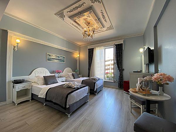 Gülhanepark Hotel & Spa : photo 4 de la chambre chambre double ou lits jumeaux supérieure avec accès gratuit au spa