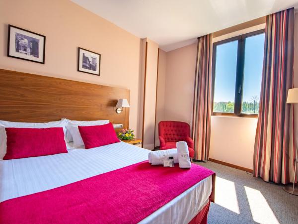 Hospedium Hotel Casino Del Tormes : photo 3 de la chambre chambre double ou lits jumeaux