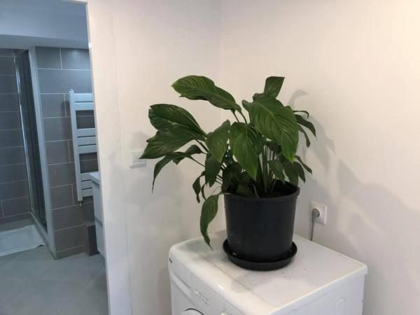 Les Terrasses d'Angoulême : photo 4 de la chambre chambre deluxe (2 adultes + 1 enfant)