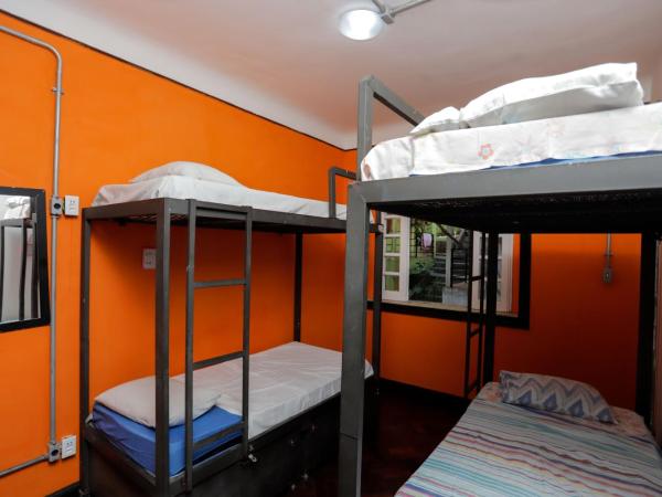 Pura Vida Hostel : photo 6 de la chambre lit superposé dans dortoir mixte