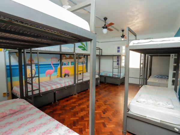 Pura Vida Hostel : photo 1 de la chambre lit superposé dans dortoir mixte