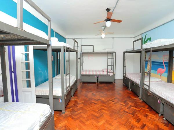 Pura Vida Hostel : photo 5 de la chambre lit superposé dans dortoir mixte