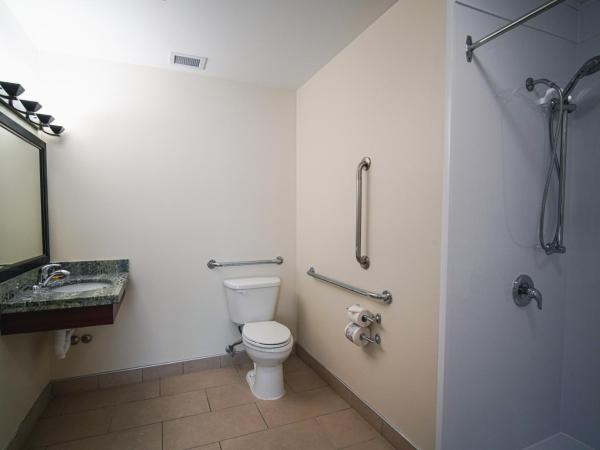 Best Western Plus Chocolate Lake Hotel - Halifax : photo 9 de la chambre chambre lit queen-size avec douche accessible en fauteuil roulant