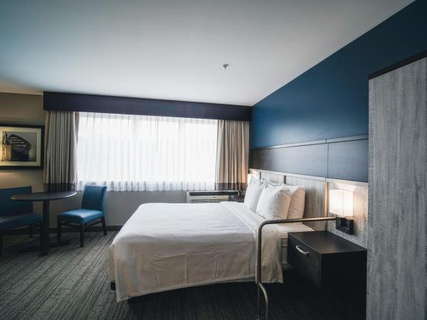 Best Western Plus Chocolate Lake Hotel - Halifax : photo 6 de la chambre chambre lit queen-size avec douche accessible en fauteuil roulant