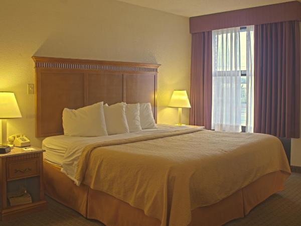 Quality Inn and Suites Indianapolis : photo 2 de la chambre chambre lit king-size - non-fumeurs