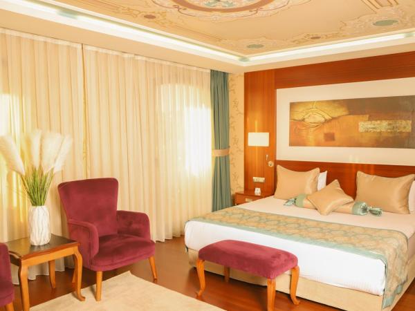 Hurry Inn Merter Istanbul : photo 4 de la chambre chambre simple supérieure