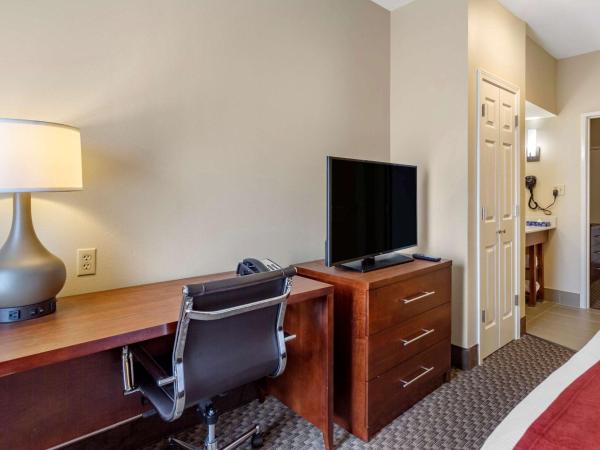 Comfort Suites : photo 2 de la chambre suite lit king-size – non-fumeurs