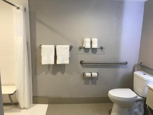 Comfort Inn Dallas North Love Field Airport : photo 1 de la chambre chambre lit king-size avec douche accessible en fauteuil roulant - accessible aux personnes à mobilité réduite - non-fumeurs