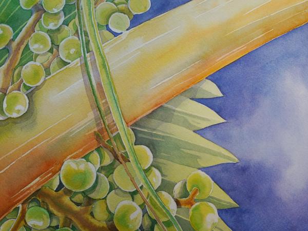 Imperial Hawaii Resort : photo 1 de la chambre suite palm