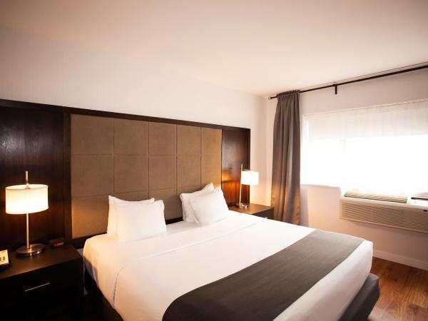 Hotel Newstar Montréal : photo 1 de la chambre chambre lit king-size