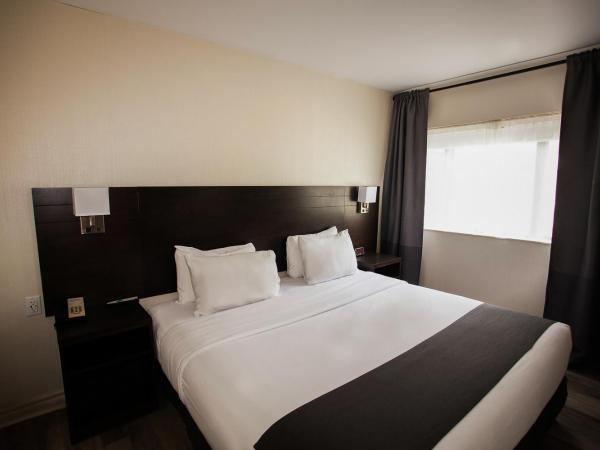 Hotel Newstar Montréal : photo 3 de la chambre chambre lit king-size