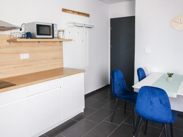 Balkon Apartmanház Panzió : photo 1 de la chambre appartement deluxe