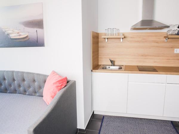 Balkon Apartmanház Panzió : photo 5 de la chambre appartement deluxe