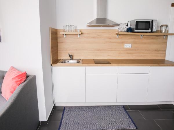 Balkon Apartmanház Panzió : photo 6 de la chambre appartement deluxe