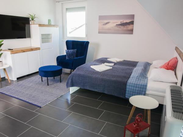 Balkon Apartmanház Panzió : photo 9 de la chambre appartement deluxe