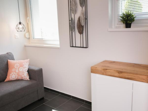 Balkon Apartmanház Panzió : photo 5 de la chambre appartement supérieur