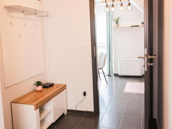 Balkon Apartmanház Panzió : photo 4 de la chambre appartement supérieur