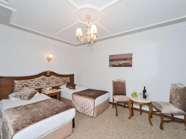 Antis Hotel-Special Category : photo 8 de la chambre chambre double ou lits jumeaux