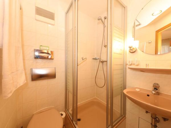 Hotel Am Ehrenhof : photo 8 de la chambre chambre simple