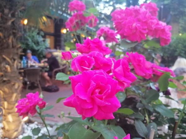 Pension Der Kretaner : photo 8 de la chambre chambre quadruple avec salle de bains privative