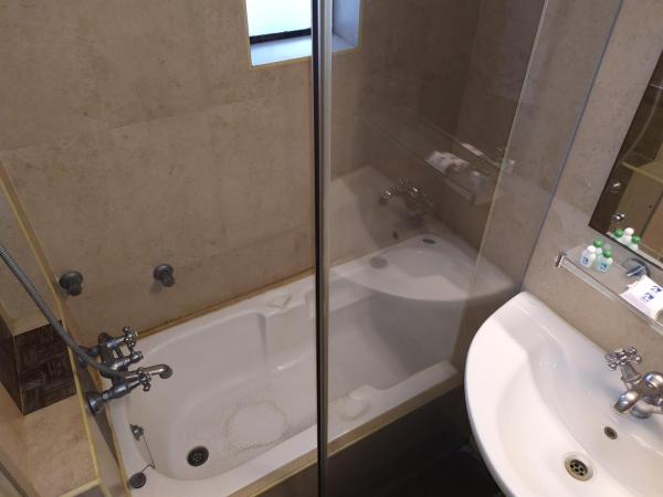 Hotel Ashok Residency : photo 7 de la chambre suite