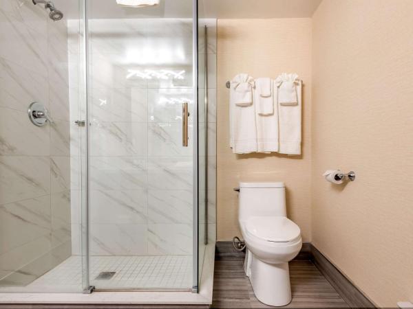 Quality Inn & Suites : photo 6 de la chambre chambre lit queen-size exécutive - non-fumeurs